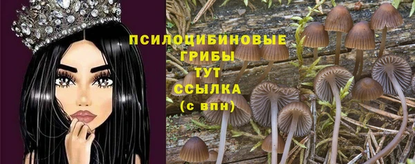 ГАЛЛЮЦИНОГЕННЫЕ ГРИБЫ Переславль-Залесский