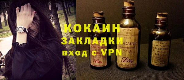 PSILOCYBIN Вяземский