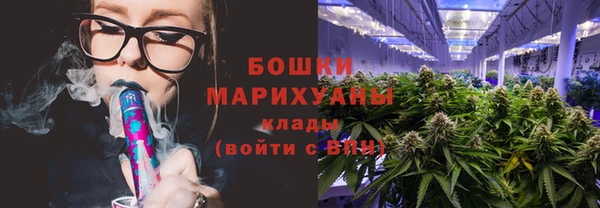 ГАЛЛЮЦИНОГЕННЫЕ ГРИБЫ Осинники